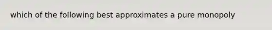 which of the following best approximates a pure monopoly