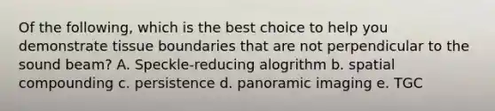 Of the following, which is the best choice to help you demonstrate tissue boundaries that are not perpendicular to the sound beam? A. Speckle-reducing alogrithm b. spatial compounding c. persistence d. panoramic imaging e. TGC