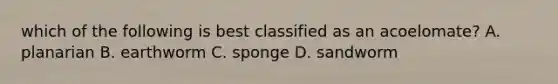 which of the following is best classified as an acoelomate? A. planarian B. earthworm C. sponge D. sandworm