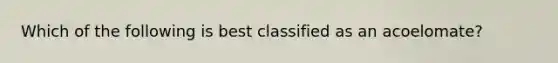 Which of the following is best classified as an acoelomate?