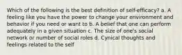 Which of the following is the best definition of self-efficacy? a. A feeling like you have the power to change your environment and behavior if you need or want to b. A belief that one can perform adequately in a given situation c. The size of one's social network or number of social roles d. Cynical thoughts and feelings related to the self