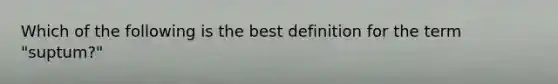 Which of the following is the best definition for the term "suptum?"