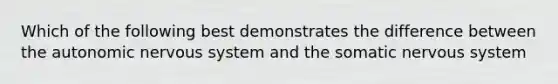 Which of the following best demonstrates the difference between the autonomic nervous system and the somatic nervous system