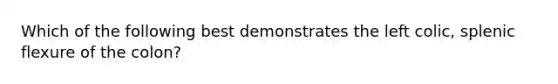 Which of the following best demonstrates the left colic, splenic flexure of the colon?
