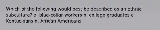 Which of the following would best be described as an ethnic subculture? a. blue-collar workers b. college graduates c. Kentuckians d. African Americans