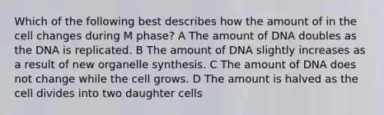 Which of the following best describes how the amount of in the cell changes during M phase? A The amount of DNA doubles as the DNA is replicated. B The amount of DNA slightly increases as a result of new organelle synthesis. C The amount of DNA does not change while the cell grows. D The amount is halved as the cell divides into two daughter cells