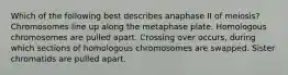 Which of the following best describes anaphase II of meiosis? Chromosomes line up along the metaphase plate. Homologous chromosomes are pulled apart. Crossing over occurs, during which sections of homologous chromosomes are swapped. Sister chromatids are pulled apart.