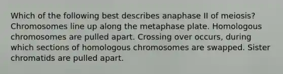 Which of the following best describes anaphase II of meiosis? Chromosomes line up along the metaphase plate. Homologous chromosomes are pulled apart. Crossing over occurs, during which sections of homologous chromosomes are swapped. Sister chromatids are pulled apart.