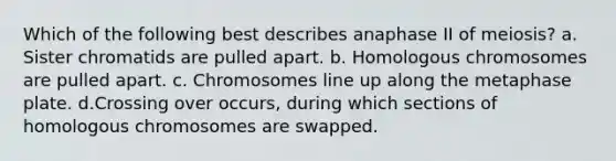 Which of the following best describes anaphase II of meiosis? a. Sister chromatids are pulled apart. b. Homologous chromosomes are pulled apart. c. Chromosomes line up along the metaphase plate. d.Crossing over occurs, during which sections of homologous chromosomes are swapped.