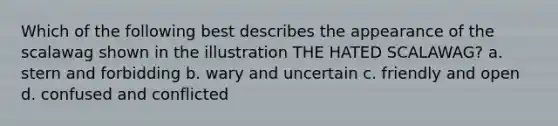 Which of the following best describes the appearance of the scalawag shown in the illustration THE HATED SCALAWAG? a. stern and forbidding b. wary and uncertain c. friendly and open d. confused and conflicted