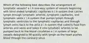 Which of the following best describes the arrangement of lymphatic vessels? a ) A one-way system of vessels beginning with blind-ended lymphatic capillaries b ) A system that carries lymph through lymphatic arteries, lymphatic capillaries, and lymphatic veins c ) A system that pumps lymph through lymphatic ventricles to the lymphatic capillaries and through lymph veins back to the atria d ) A system that collects fluid from arteries and veins and takes it into lymphatic arteries to be pumped back to the blood circulation e ) A system of large vessels designed to fill quickly with lymph as the heart pushes blood through the coronary sinus