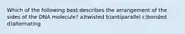 Which of the following best describes the arrangement of the sides of the DNA molecule? a)twisted b)antiparallel c)bonded d)alternating