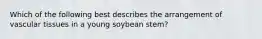 Which of the following best describes the arrangement of vascular tissues in a young soybean stem?