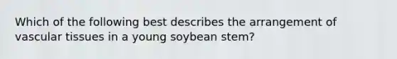 Which of the following best describes the arrangement of vascular tissues in a young soybean stem?