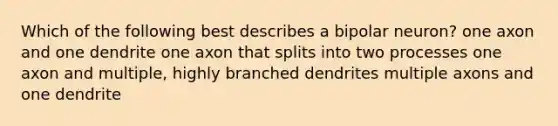 Which of the following best describes a bipolar neuron? one axon and one dendrite one axon that splits into two processes one axon and multiple, highly branched dendrites multiple axons and one dendrite