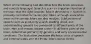 Which of the following best describes how the brain processes and controls language? Speech is such an important function of the brain that the right temporal lobe is devoted to it. Speech is primarily controlled in the occipital lobes, although association areas in the parietal lobes are also involved. Subfunctions of speech (such as producing speech, reading aloud, and understanding speech) are processed by different parts of the brain. Men and women process speech in different parts of the brain, determined primarily by genetics and early environmental conditions. The brainstem processes the basic parts of speech and communicates with the frontal lobe's motor cortex.