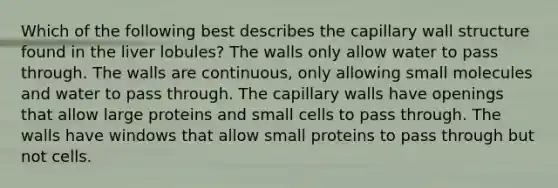 Which of the following best describes the capillary wall structure found in the liver lobules? The walls only allow water to pass through. The walls are continuous, only allowing small molecules and water to pass through. The capillary walls have openings that allow large proteins and small cells to pass through. The walls have windows that allow small proteins to pass through but not cells.