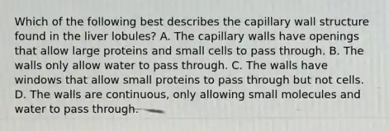 Which of the following best describes the capillary wall structure found in the liver lobules? A. The capillary walls have openings that allow large proteins and small cells to pass through. B. The walls only allow water to pass through. C. The walls have windows that allow small proteins to pass through but not cells. D. The walls are continuous, only allowing small molecules and water to pass through.