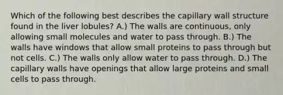 Which of the following best describes the capillary wall structure found in the liver lobules? A.) The walls are continuous, only allowing small molecules and water to pass through. B.) The walls have windows that allow small proteins to pass through but not cells. C.) The walls only allow water to pass through. D.) The capillary walls have openings that allow large proteins and small cells to pass through.