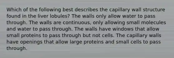 Which of the following best describes the capillary wall structure found in the liver lobules? The walls only allow water to pass through. The walls are continuous, only allowing small molecules and water to pass through. The walls have windows that allow small proteins to pass through but not cells. The capillary walls have openings that allow large proteins and small cells to pass through.