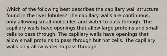 Which of the following best describes the capillary wall structure found in the liver lobules? The capillary walls are continuous, only allowing small molecules and water to pass through. The capillary walls have openings that allow large proteins and small cells to pass through. The capillary walls have openings that allow small proteins to pass through but not cells. The capillary walls only allow water to pass through.