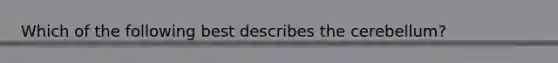 Which of the following best describes the cerebellum?