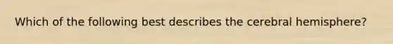 Which of the following best describes the cerebral hemisphere?