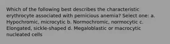 Which of the following best describes the characteristic erythrocyte associated with pernicious anemia? Select one: a. Hypochromic, microcytic b. Normochromic, normocytic c. Elongated, sickle-shaped d. Megaloblastic or macrocytic nucleated cells