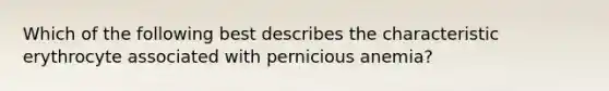 Which of the following best describes the characteristic erythrocyte associated with pernicious anemia?