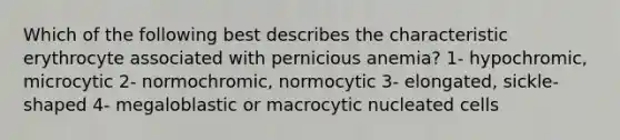 Which of the following best describes the characteristic erythrocyte associated with pernicious anemia? 1- hypochromic, microcytic 2- normochromic, normocytic 3- elongated, sickle-shaped 4- megaloblastic or macrocytic nucleated cells