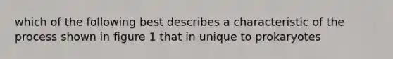 which of the following best describes a characteristic of the process shown in figure 1 that in unique to prokaryotes