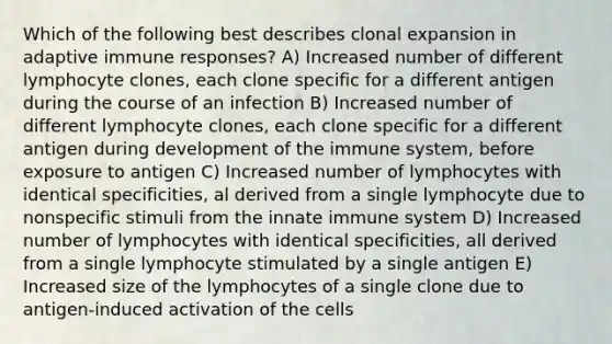 Which of the following best describes clonal expansion in adaptive immune responses? A) Increased number of different lymphocyte clones, each clone specific for a different antigen during the course of an infection B) Increased number of different lymphocyte clones, each clone specific for a different antigen during development of the immune system, before exposure to antigen C) Increased number of lymphocytes with identical specificities, al derived from a single lymphocyte due to nonspecific stimuli from the innate immune system D) Increased number of lymphocytes with identical specificities, all derived from a single lymphocyte stimulated by a single antigen E) Increased size of the lymphocytes of a single clone due to antigen-induced activation of the cells