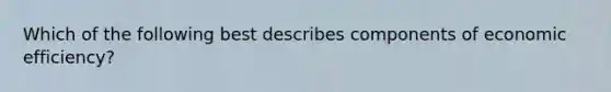 Which of the following best describes components of economic efficiency?