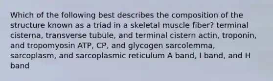 Which of the following best describes the composition of the structure known as a triad in a skeletal muscle fiber? terminal cisterna, transverse tubule, and terminal cistern actin, troponin, and tropomyosin ATP, CP, and glycogen sarcolemma, sarcoplasm, and sarcoplasmic reticulum A band, I band, and H band