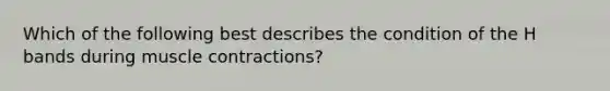 Which of the following best describes the condition of the H bands during muscle contractions?