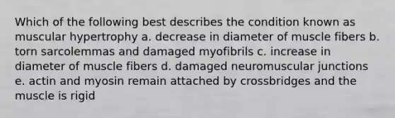 Which of the following best describes the condition known as muscular hypertrophy a. decrease in diameter of muscle fibers b. torn sarcolemmas and damaged myofibrils c. increase in diameter of muscle fibers d. damaged neuromuscular junctions e. actin and myosin remain attached by crossbridges and the muscle is rigid