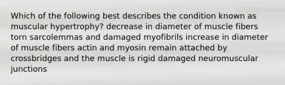 Which of the following best describes the condition known as muscular hypertrophy? decrease in diameter of muscle fibers torn sarcolemmas and damaged myofibrils increase in diameter of muscle fibers actin and myosin remain attached by crossbridges and the muscle is rigid damaged neuromuscular junctions