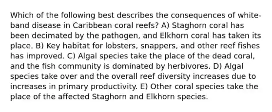 Which of the following best describes the consequences of white-band disease in Caribbean coral reefs? A) Staghorn coral has been decimated by the pathogen, and Elkhorn coral has taken its place. B) Key habitat for lobsters, snappers, and other reef fishes has improved. C) Algal species take the place of the dead coral, and the fish community is dominated by herbivores. D) Algal species take over and the overall reef diversity increases due to increases in primary productivity. E) Other coral species take the place of the affected Staghorn and Elkhorn species.