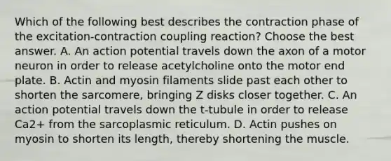 Which of the following best describes the contraction phase of the excitation-contraction coupling reaction? Choose the best answer. A. An action potential travels down the axon of a motor neuron in order to release acetylcholine onto the motor end plate. B. Actin and myosin filaments slide past each other to shorten the sarcomere, bringing Z disks closer together. C. An action potential travels down the t-tubule in order to release Ca2+ from the sarcoplasmic reticulum. D. Actin pushes on myosin to shorten its length, thereby shortening the muscle.