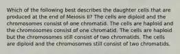 Which of the following best describes the daughter cells that are produced at the end of Meiosis II? The cells are diploid and the chromosomes consist of one chromatid. The cells are haploid and the chromosomes consist of one chromatid. The cells are haploid but the chromosomes still consist of two chromatids. The cells are diploid and the chromosomes still consist of two chromatids.