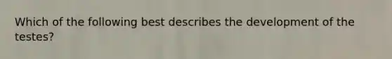 Which of the following best describes the development of the testes?