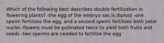 Which of the following best describes double fertilization in flowering plants? -the egg of the embryo sac is diploid -one sperm fertilizes the egg, and a second sperm fertilizes both polar nuclei -flowers must be pollinated twice to yield both fruits and seeds -two sperms are needed to fertilize the egg