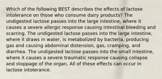 Which of the following BEST describes the effects of lactose intolerance on those who consume dairy products? The undigested lactose passes into the large intestine, where it causes a severe allergic response causing intestinal bleeding and scarring. The undigested lactose passes into the large intestine, where it draws in water, is metabolized by bacteria, producing gas and causing abdominal distension, gas, cramping, and diarrhea. The undigested lactose passes into the small intestine, where it causes a severe traumatic response causing collapse and stoppage of the organ. All of these effects can occur in lactose intolerance.