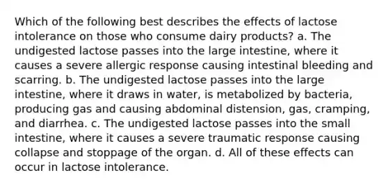 Which of the following best describes the effects of lactose intolerance on those who consume dairy products? a. The undigested lactose passes into the large intestine, where it causes a severe allergic response causing intestinal bleeding and scarring. b. The undigested lactose passes into the large intestine, where it draws in water, is metabolized by bacteria, producing gas and causing abdominal distension, gas, cramping, and diarrhea. c. The undigested lactose passes into the small intestine, where it causes a severe traumatic response causing collapse and stoppage of the organ. d. All of these effects can occur in lactose intolerance.