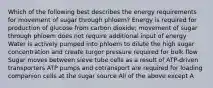 Which of the following best describes the energy requirements for movement of sugar through phloem? Energy is required for production of glucose from carbon dioxide; movement of sugar through phloem does not require additional input of energy Water is actively pumped into phloem to dilute the high sugar concentration and create turgor pressure required for bulk flow Sugar moves between sieve tube cells as a result of ATP-driven transporters ATP pumps and cotransport are required for loading companion cells at the sugar source All of the above except A