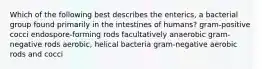 Which of the following best describes the enterics, a bacterial group found primarily in the intestines of humans? gram-positive cocci endospore-forming rods facultatively anaerobic gram-negative rods aerobic, helical bacteria gram-negative aerobic rods and cocci