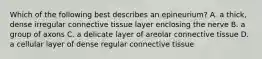 Which of the following best describes an epineurium? A. a thick, dense irregular connective tissue layer enclosing the nerve B. a group of axons C. a delicate layer of areolar connective tissue D. a cellular layer of dense regular connective tissue