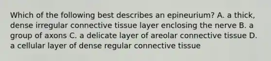 Which of the following best describes an epineurium? A. a thick, dense irregular connective tissue layer enclosing the nerve B. a group of axons C. a delicate layer of areolar connective tissue D. a cellular layer of dense regular connective tissue