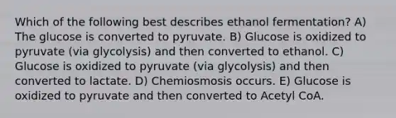 Which of the following best describes ethanol fermentation? A) The glucose is converted to pyruvate. B) Glucose is oxidized to pyruvate (via glycolysis) and then converted to ethanol. C) Glucose is oxidized to pyruvate (via glycolysis) and then converted to lactate. D) Chemiosmosis occurs. E) Glucose is oxidized to pyruvate and then converted to Acetyl CoA.