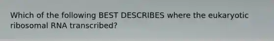 Which of the following BEST DESCRIBES where the eukaryotic ribosomal RNA transcribed?